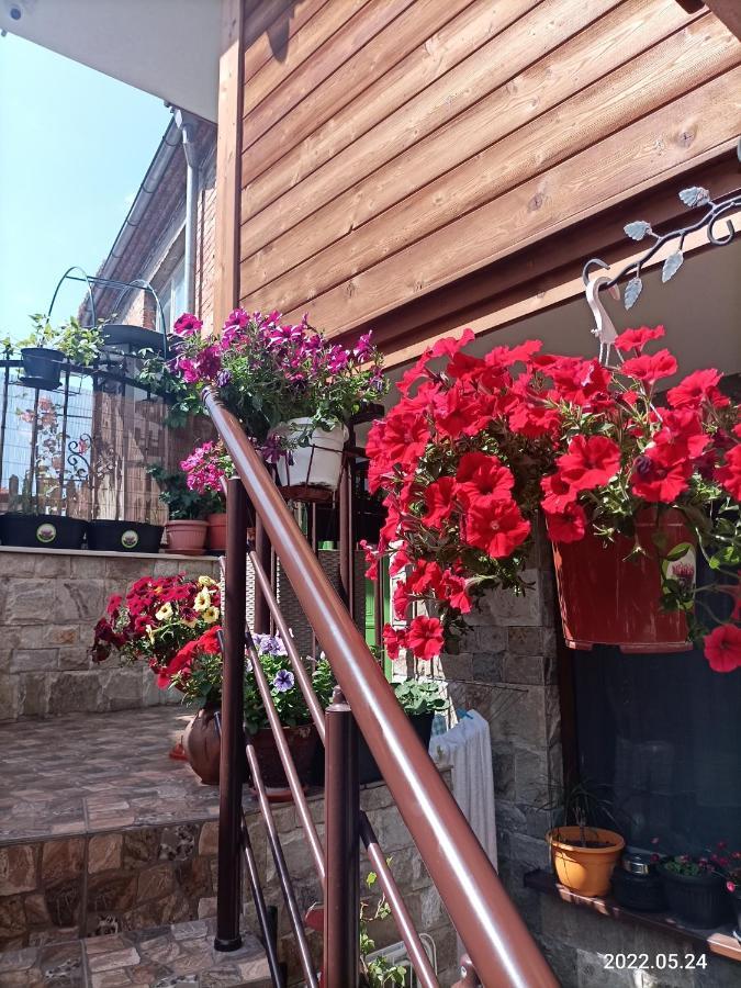 Damaris Otel Süzebolu Dış mekan fotoğraf